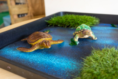 Little Steps Nursery in Rochdale - Baby Room